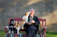 Dogs and Cats in Nursing Homes: A Project Aiming to Support the Elderly in Argentina