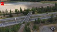 An Idaho bridge sat unused for 56 years after mining cut off its road; in 2025, it reopened for wildlife, where nearly 75 animals had been struck within two miles in a decade