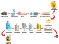 From Sunflower To Industry: How One Crop Can Build An Entire Economic Value Chain