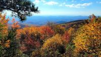 Early signs of fall color emerging in WNC's higher elevations Early signs of fall are beginning to show across western North Carolina.