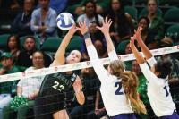 Wahine relying on Hawaii hitter Ratkai, team’s adaptability
