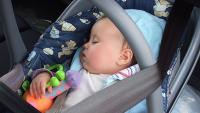 North Carolina grandmother faces child abuse charges after leaving her infant granddaughter in a 96-degree car to browse kittens