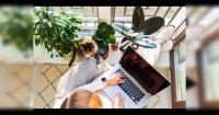Philippine House adopts WFH as bad weather disrupts operations
