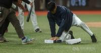 After Taipei Dome incident, rats return to city's election discourse