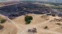 August was joint hottest month 'ever recorded' amid summer of heatwaves, drought and wildfires