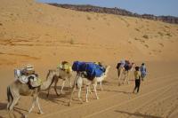 Dad who hates sand will trek across Sahara desert to raise  money for Derian House Children's Hospital