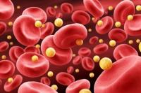 September is National Cholesterol Awareness Education Month; Check out the new guidelines