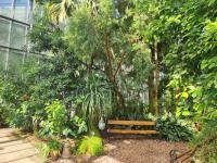 African and Exotic Plants Take Center Stage at Szeged Botanical Garden