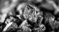 QEM’s Garden Valley project unearths rare-metal potential in Idaho