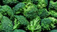 Salmonella Outbreak Tied to Recalled Idaho Broccoli Sprouts Reaches 22 Illnesses in Four States, Including Utah