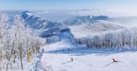 Three New to the Asia Crew: Ikon Pass Expands Further Into Japan and China for Winter 26/27
