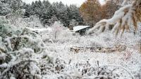 Farmers' Almanac first snowfall map. When will Ohio need shovels?