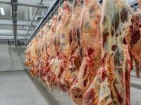 Savanna Beef slashes expected annual loss