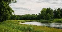 Greater Des Moines watershed farmers enroll 300,000 acres of cover crops