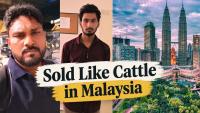 Human Trafficking: Indian Workers Trapped in Bonded Labour in Malaysia