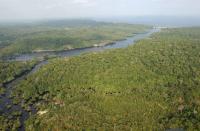 Brazil creates four nature reserves around BR-319 to protect 669,000 hectares of the Amazon