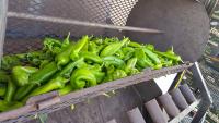 5 best Labor Day 2026 festivals near El Paso and New Mexico
