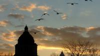 South Dakota agency uses license suspensions to collect debt