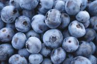 Peruvian blueberry exports revised down due to El Niño disruptions