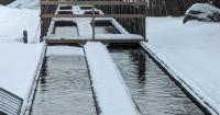 A Plan to Upgrade Vermont’s Fish Culture Stations in the Works