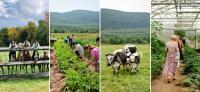 Hildene Inspires New Generations Through History, Agriculture, and the Outdoors
