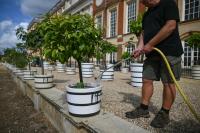 UK gardens expert guide to recovery after summer drought and heatwave