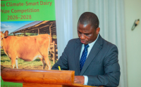 Tanzania unveils competitive awards project to boost dairy industry