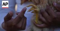 Farmers find a spiritual calling in regenerative agriculture