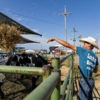 In Nebraska, US voters ready for end of Iran war
