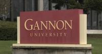 Gannon University Recognized for Mental Health Commitment