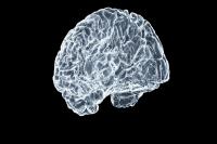 Alzheimer's Deaths In Idaho On A Dramatic Rise In Last 10 Yrs