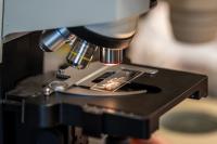 Texas Plant Disease Diagnostic Lab earns national accreditation