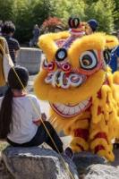 From History to Harmony: Tacoma Moon Festival