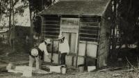 Why Israel’s beehives are producing less honey