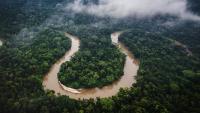 The Nature of Business: Can Ecosystems Become a New Class of Financial Value?