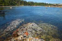 Viewpoint: Marine protected areas are not fishing closures