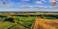 Western Ohio cropland values, cash rents see little change in 2026