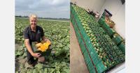 “Our Portuguese melon production has expanded significantly in recent years”