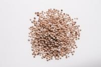 BASF’s Durasorb technology rolls out across Cheniere’s Corpus Christi LNG facility
