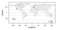 Large international collaboration decodes a fundamental process in Erath’s history