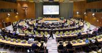 Vatican urges greater role for women in building peace
