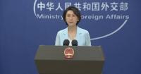China, India arranging Xi-Modi meeting: spokesperson