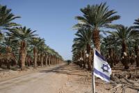 Israel's oldest fruit just became its newest spirit: meet the distillery reviving a 2,000-yr-old tradition