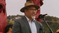 Should the Waitangi Tribunal matter to Pacific people in NZ?