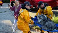 Illinois husky survives days in muddy marsh before thermal drone leads rescuers to him