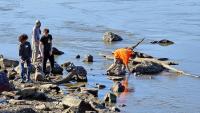 Missouri River Days celebrates milestone with free park passes