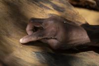Cubans Turn to Illegal Gold Mining as Economic Crisis Deepens