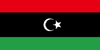 Libya’s legislative bodies stress political process should follow constitutional declaration