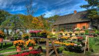 The 10 UK towns with the best farm shops to visit this autumn — including two in Wales