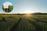 New Hampshire Corn Maze Is the Perfect Tribute to Fryeburg Fair